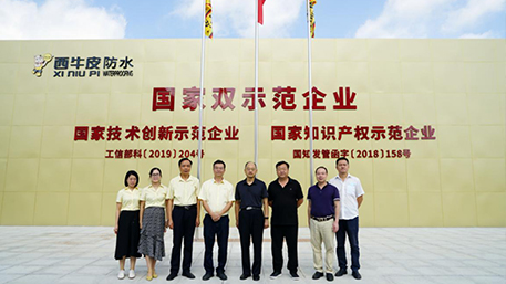 國(guó)家知識(shí)產(chǎn)權(quán)局知識(shí)產(chǎn)權(quán)發(fā)展研究中心一行走訪西牛皮防水，實(shí)地調(diào)研科技創(chuàng)新帶來(lái)的發(fā)展新成果