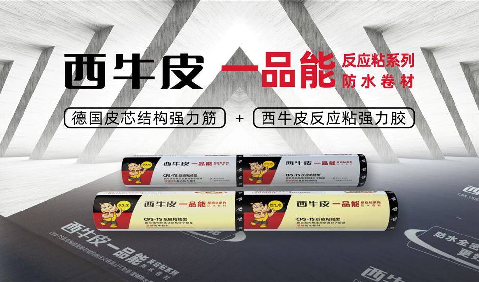 西牛皮一品能——乘風(fēng)而來 踏浪前行