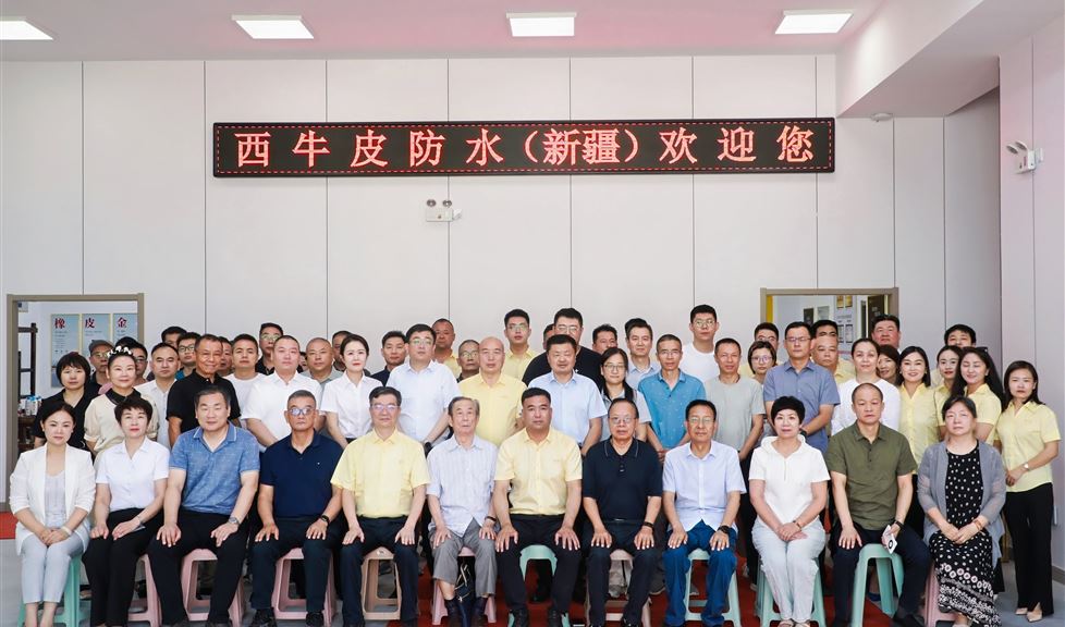 西牛皮，在新疆，排頭兵，一定行！