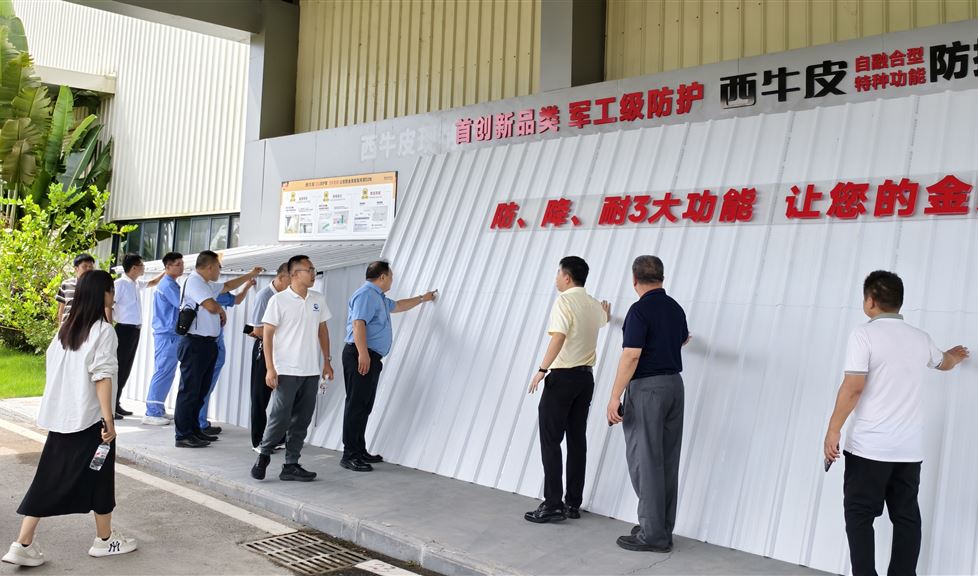 西牛皮（欽州）科技園迎來欽州市工業(yè)和信息化局等一行